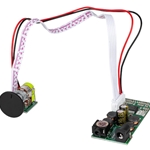DTA-2 Class D Digital Audio Amplifier Module